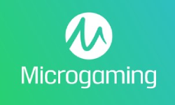 Игровые автоматы microgaming