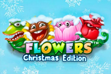 Flowers Christmas Edition